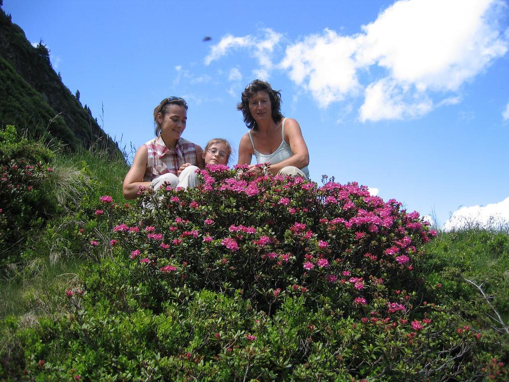 Pichl bei Aussee Bauernhof Haim-Schnepfleitner מראה חיצוני תמונה