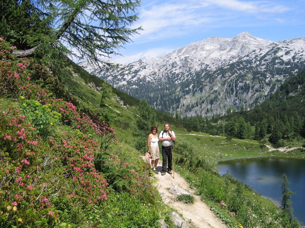 Pichl bei Aussee Bauernhof Haim-Schnepfleitner מראה חיצוני תמונה